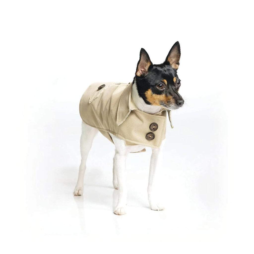 Uptown Trench