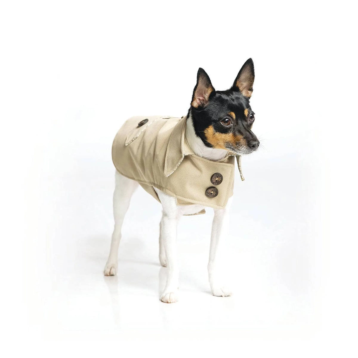 Uptown Trench