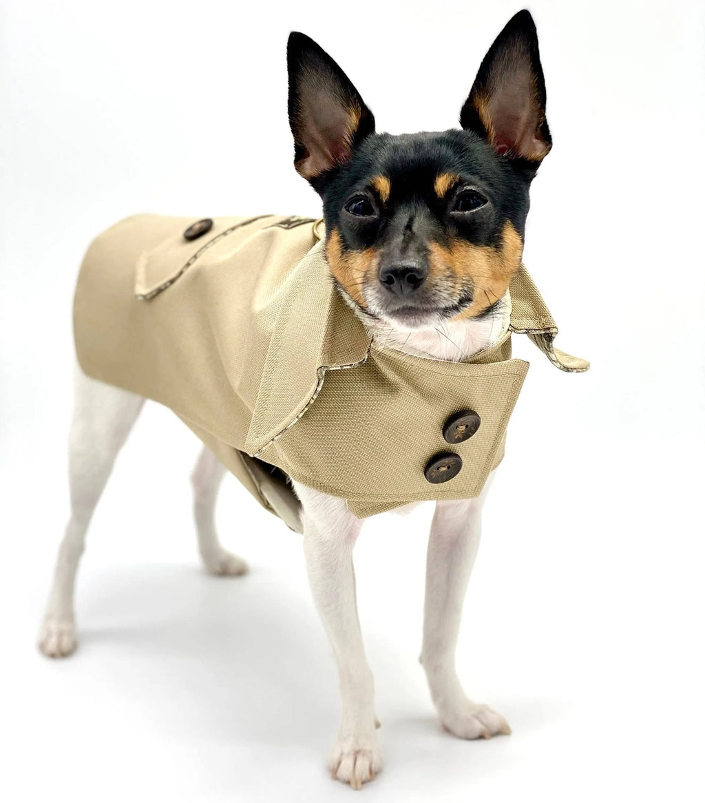 Uptown Trench