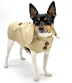 Uptown Trench