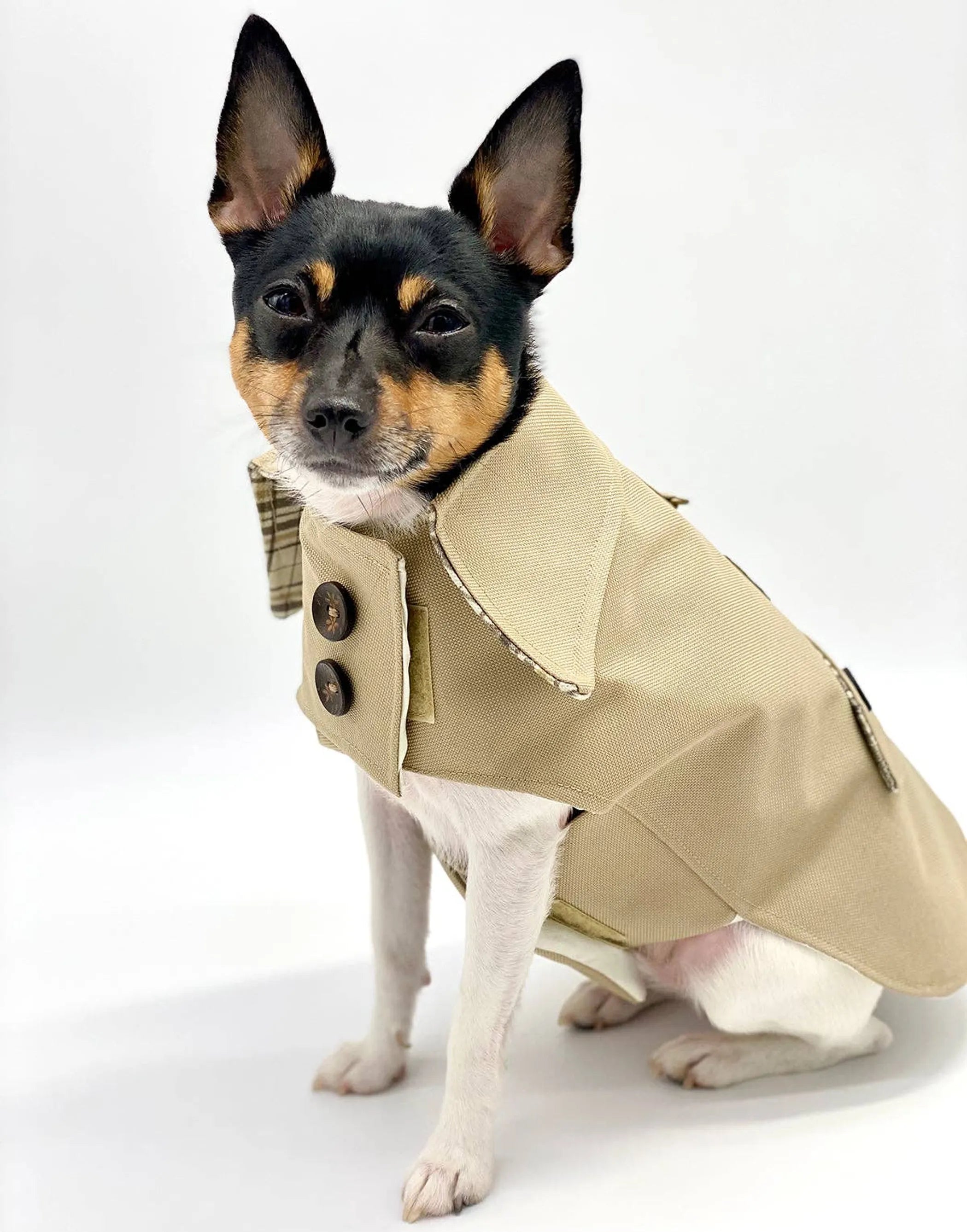 Uptown Trench