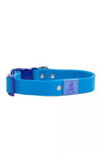 All-Weather Collar