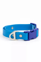 All-Weather Collar
