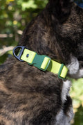 All-Weather Collar
