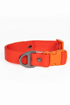 All-Weather Collar