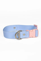 All-Weather Collar