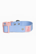 All-Weather Collar