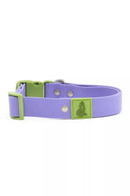 All-Weather Collar
