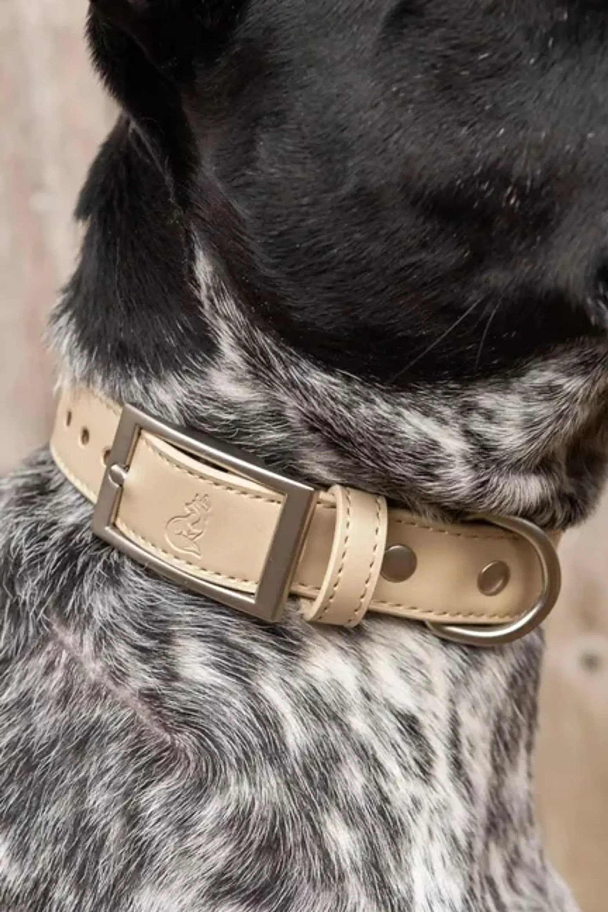Vegan Leather Collar