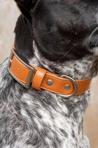 Vegan Leather Collar
