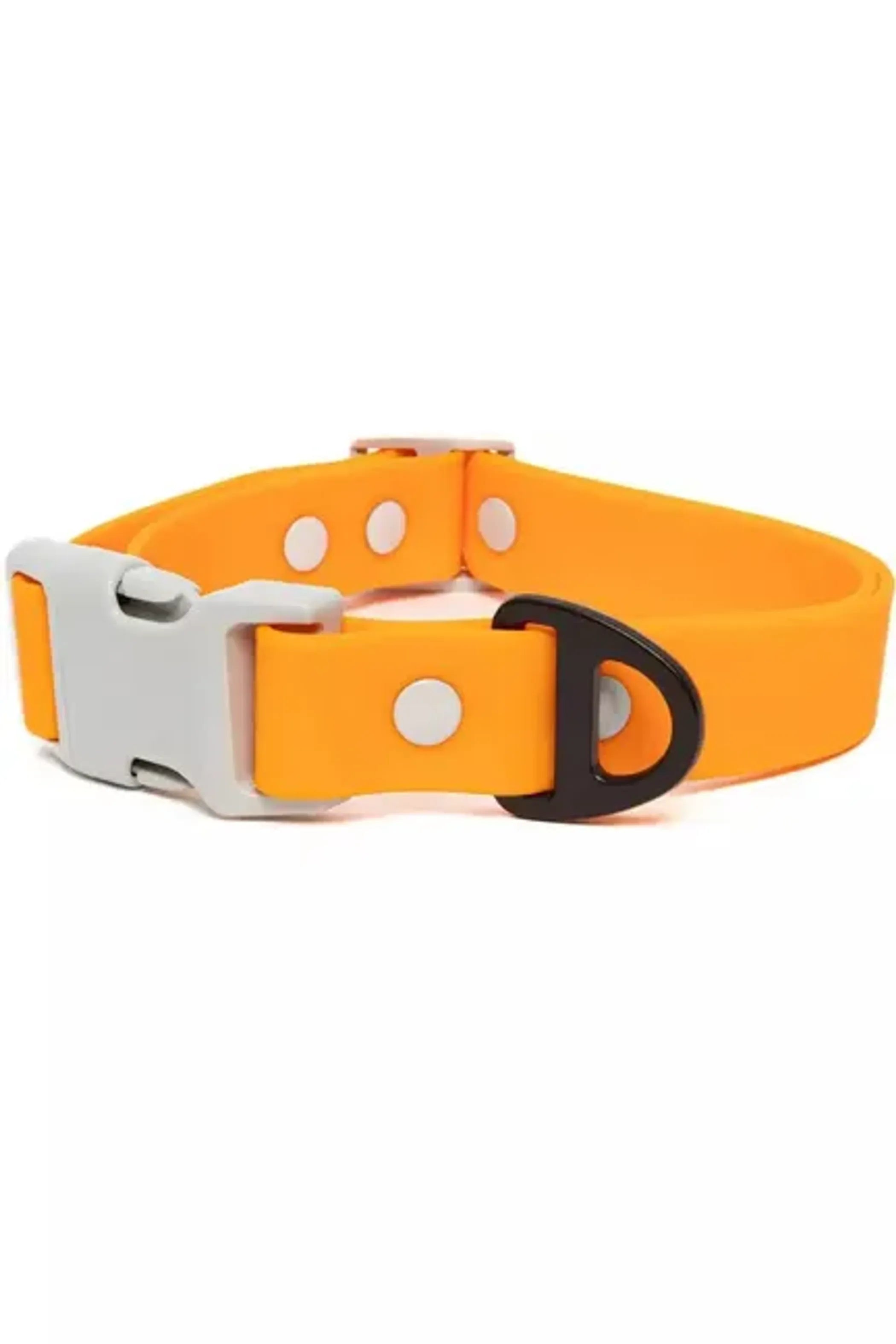 All-Weather Collar