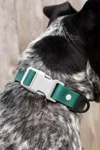 All-Weather Collar