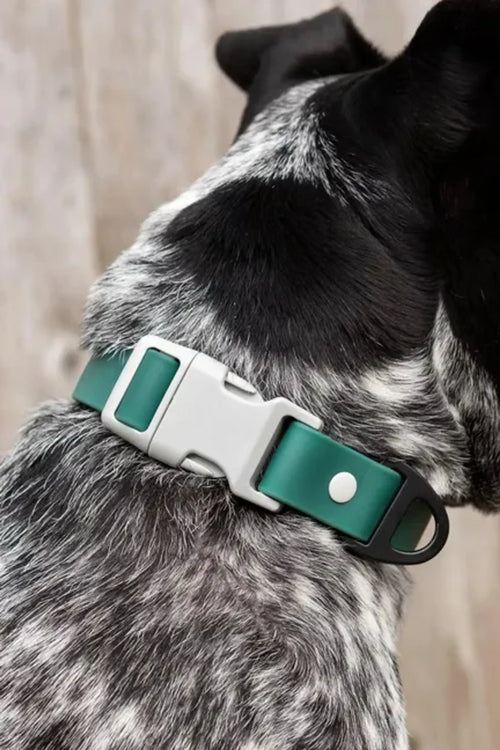 All-Weather Collar