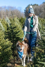 All-Weather Collar