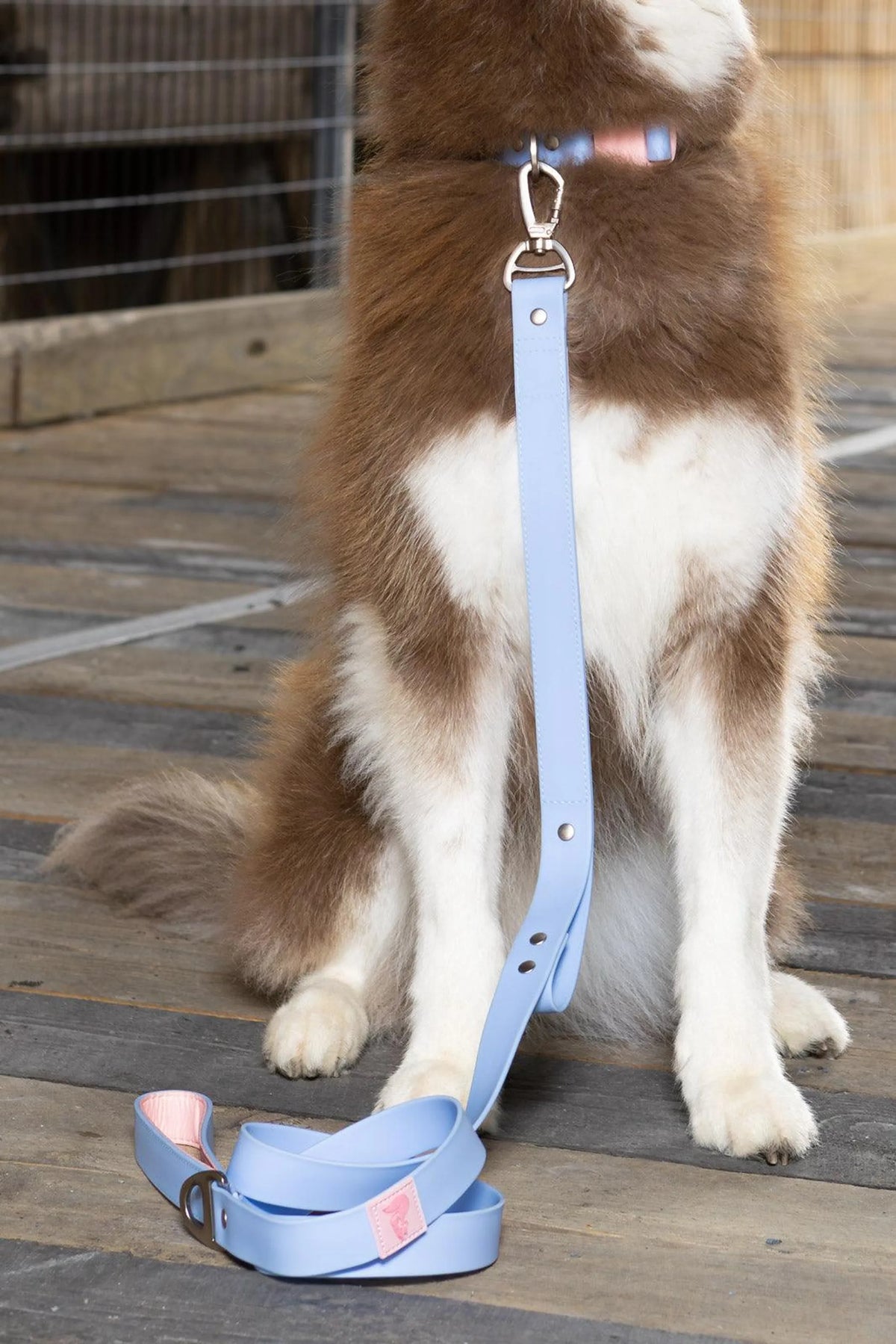 All-Weather Collar Lead