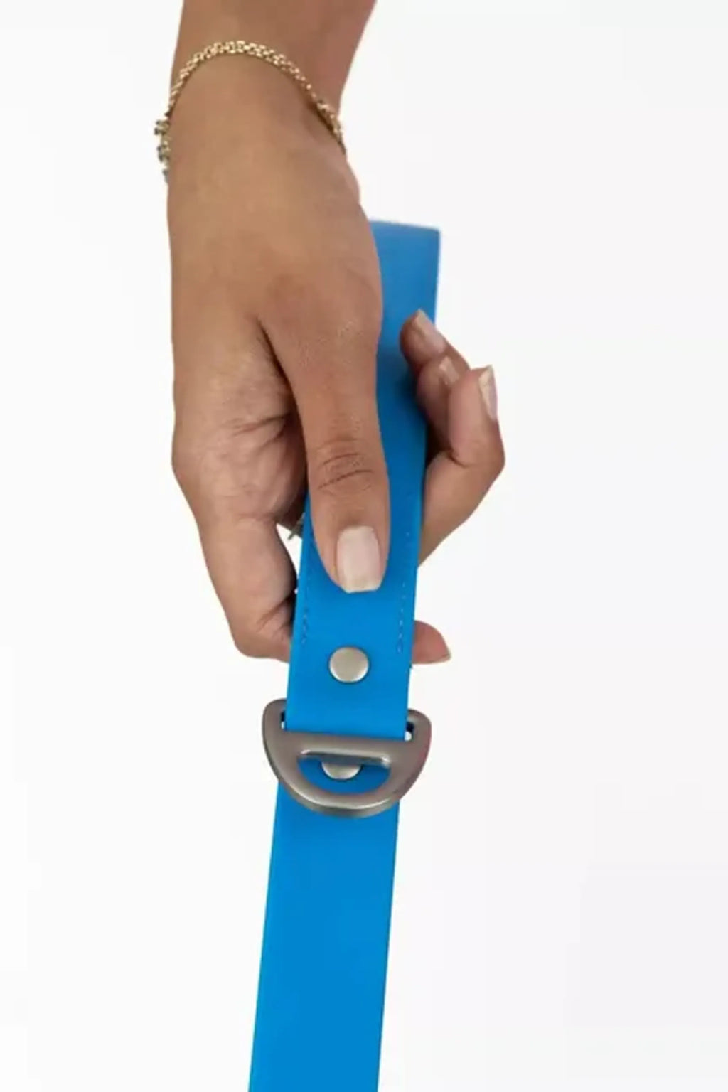 All-Weather Collar Lead