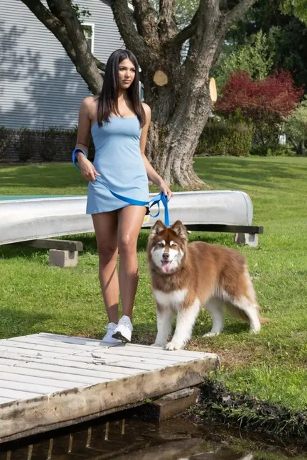 All-Weather Collar Lead