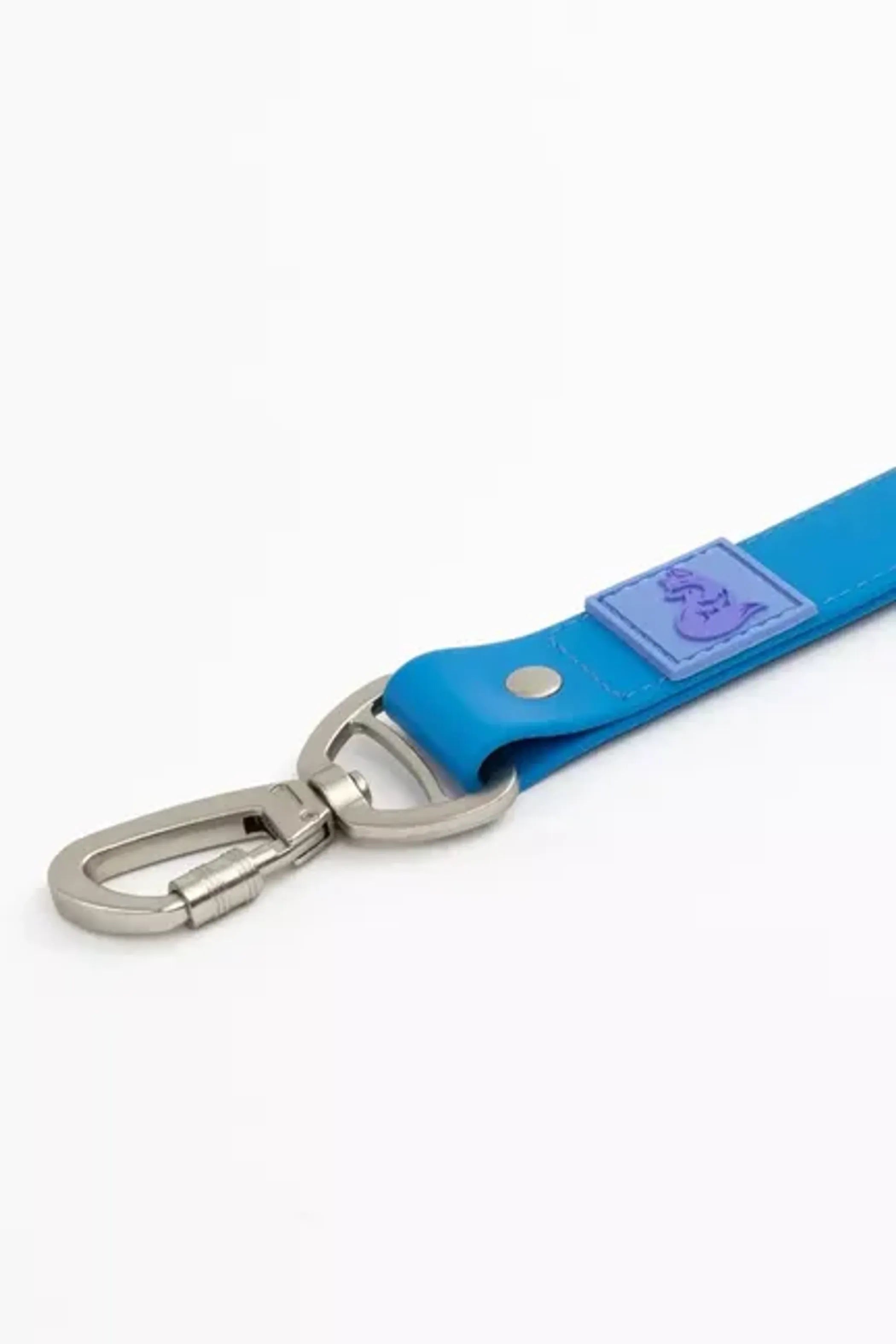 All-Weather Collar Lead
