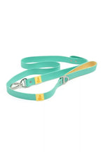 All-Weather Collar Lead