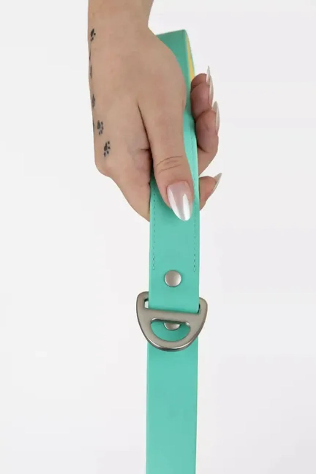 All-Weather Collar Lead