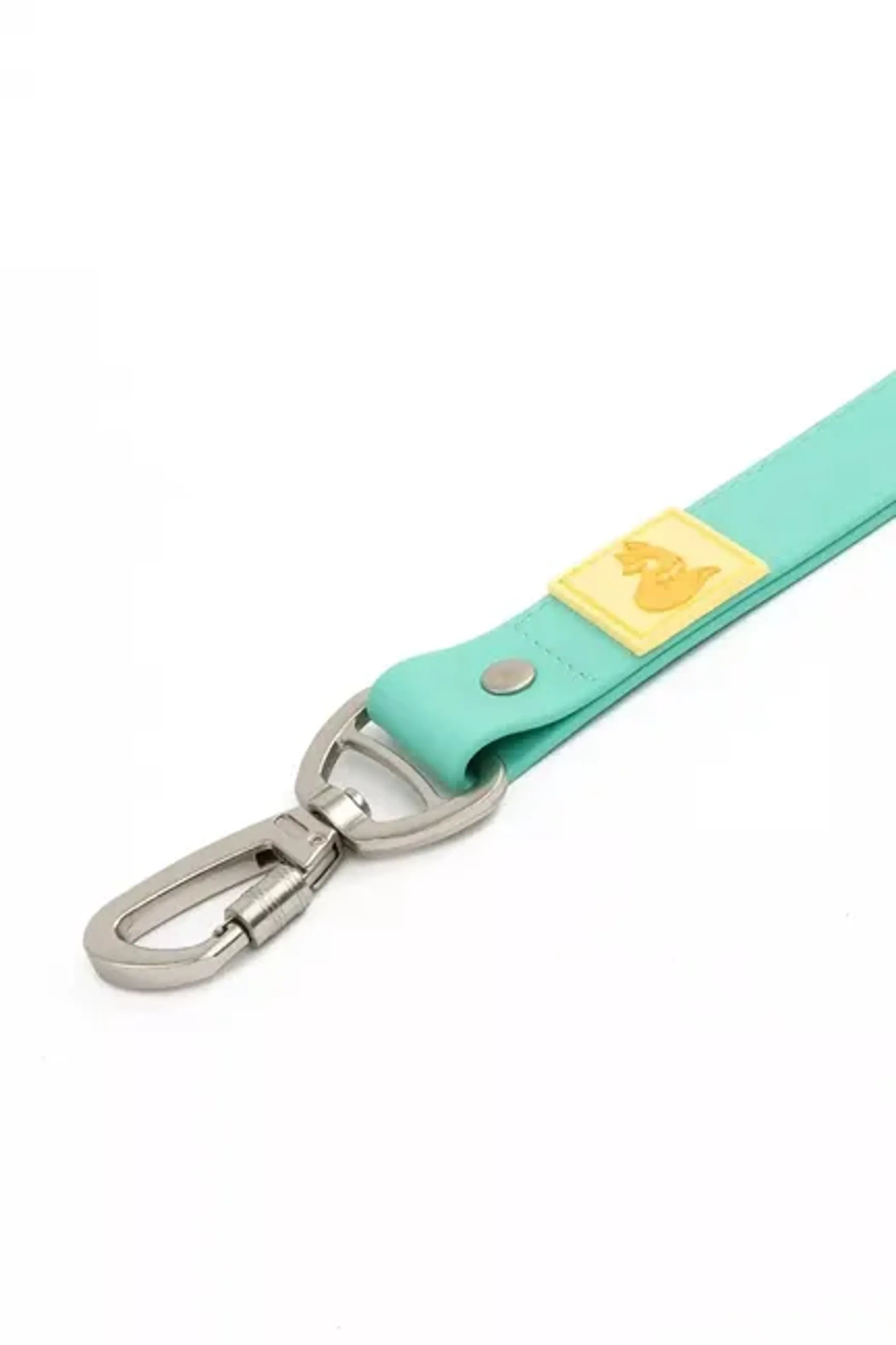 All-Weather Collar Lead