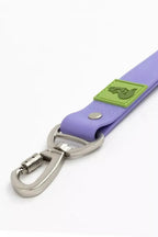 All-Weather Collar Lead