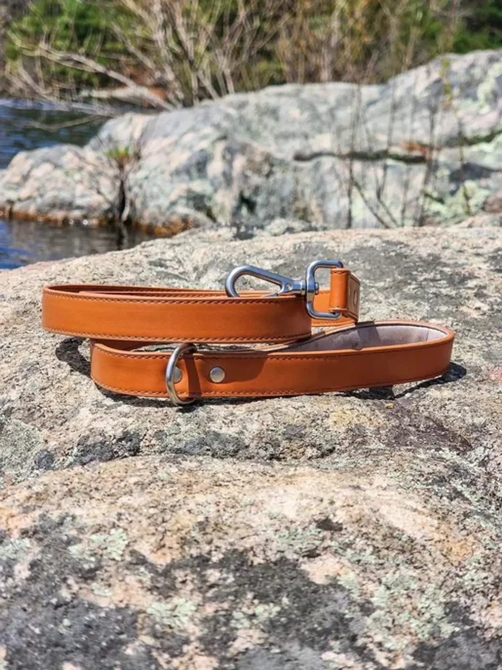 Vegan Leather Lead