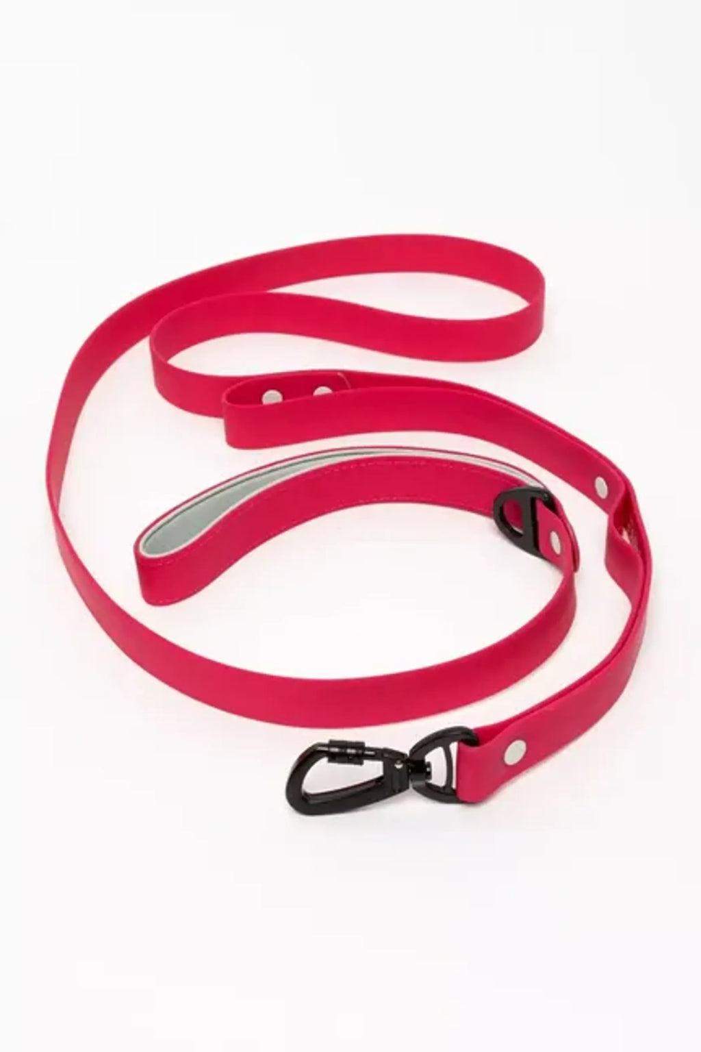 All-Weather Collar Lead