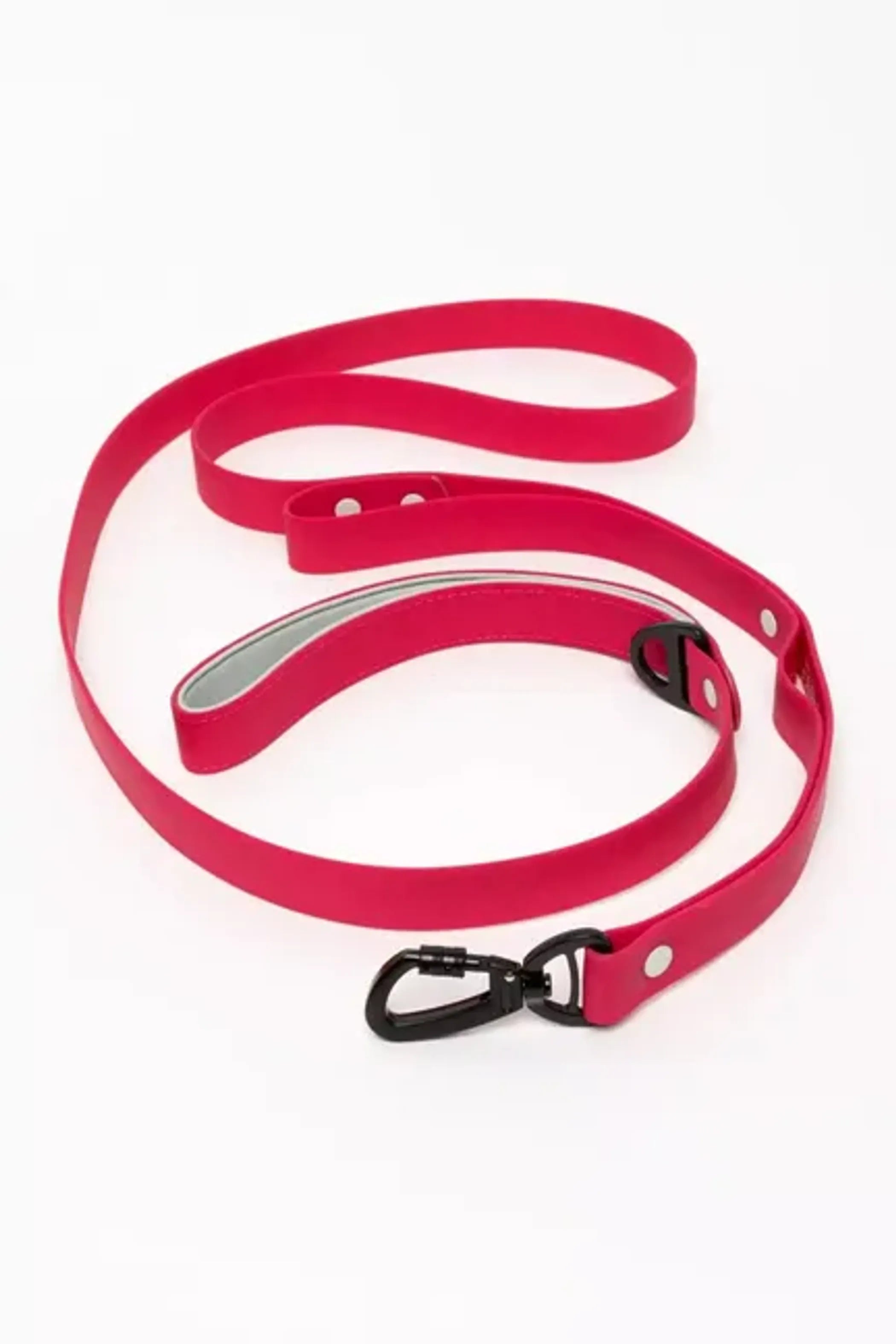 All-Weather Collar Lead