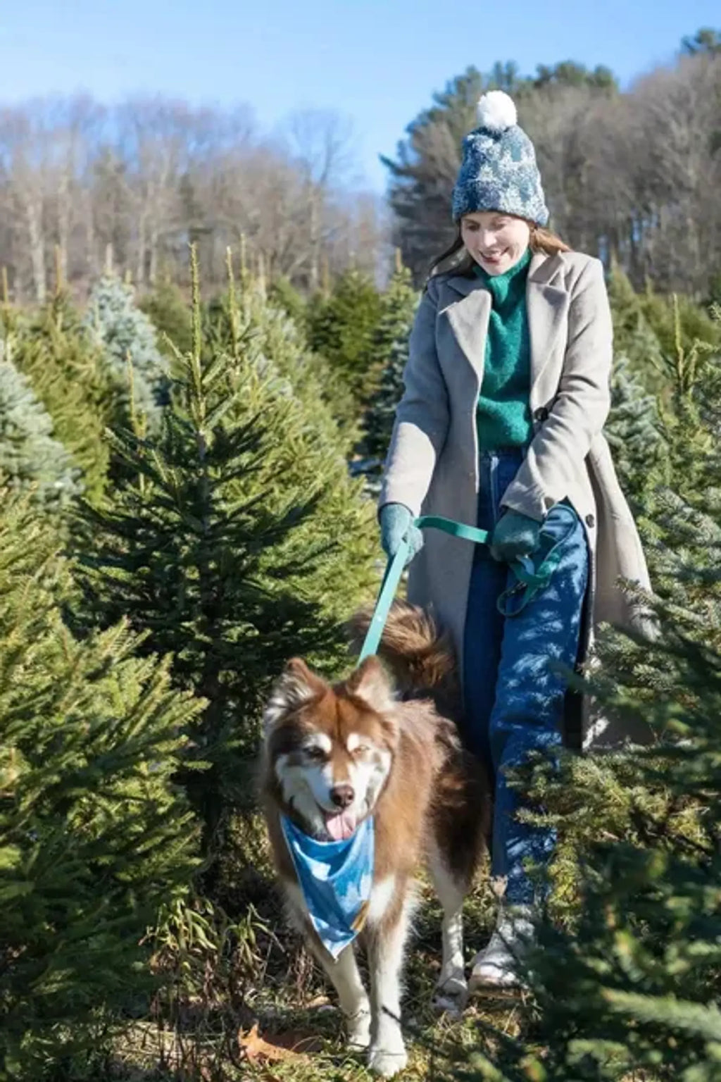 All-Weather Collar Lead