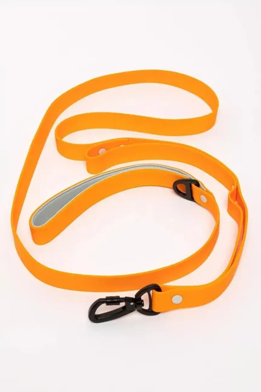All-Weather Collar Lead