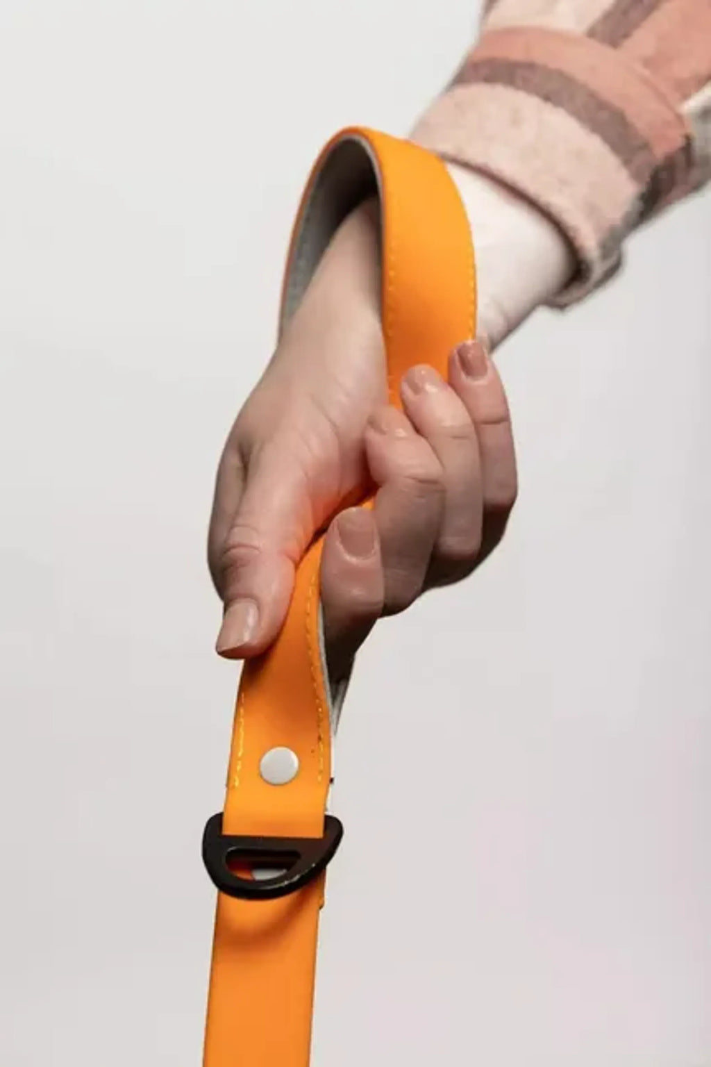 All-Weather Collar Lead