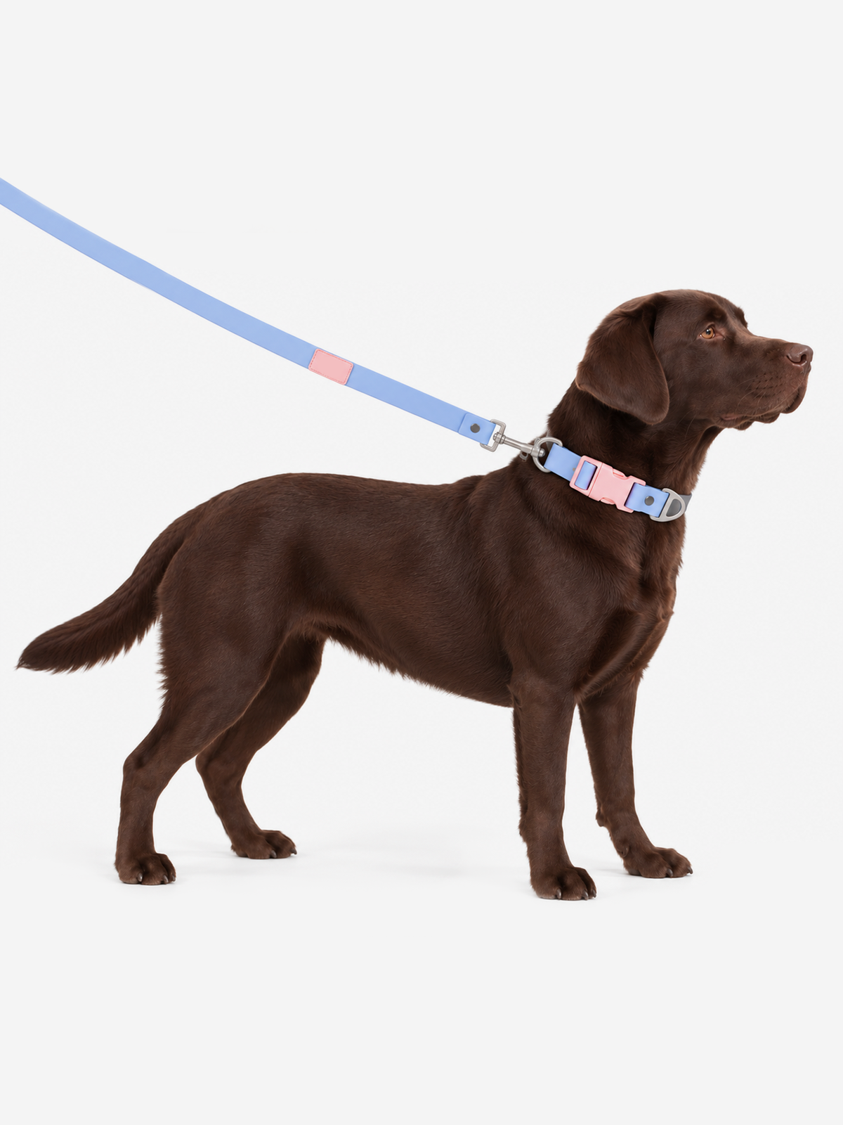 All-Weather Lead
