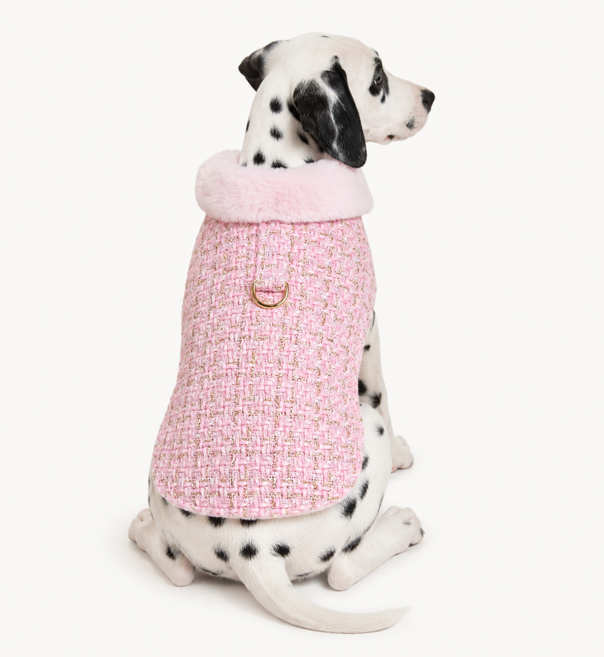 Candy Coat