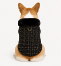 Champagne Coat