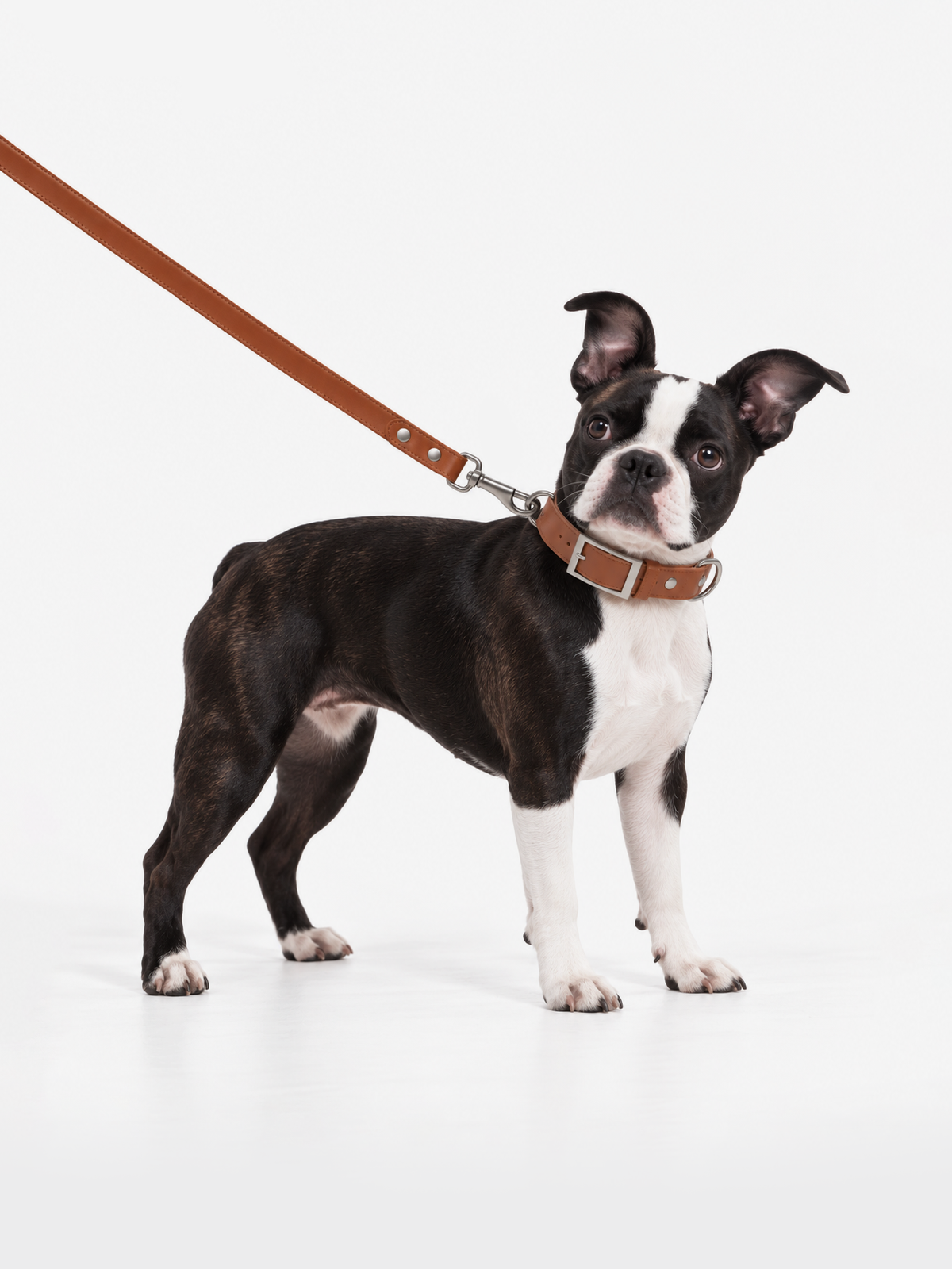 Vegan Leather Lead