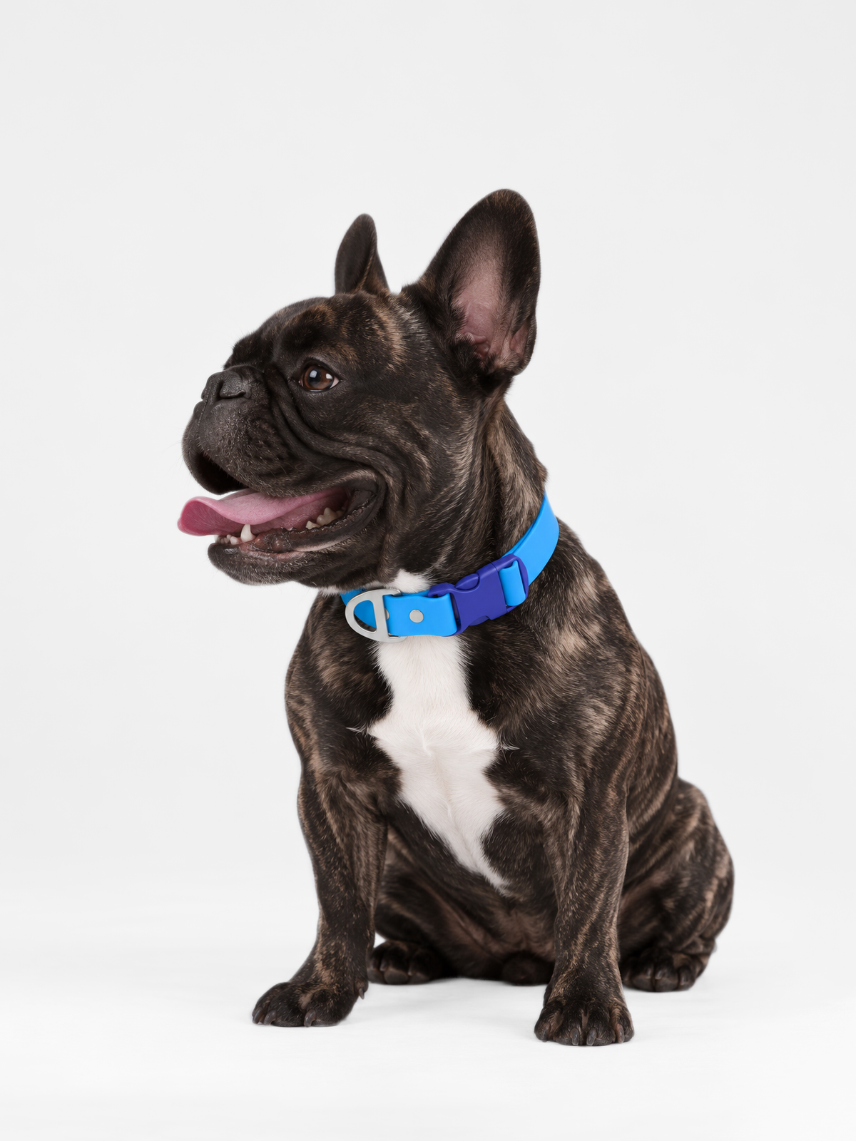 All-Weather Collar