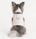 Park Ave Harness