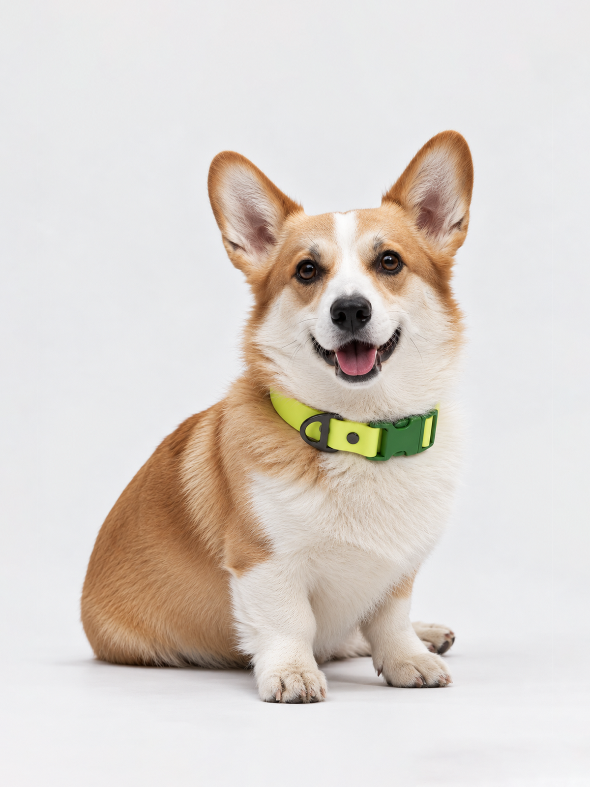 All-Weather Collar