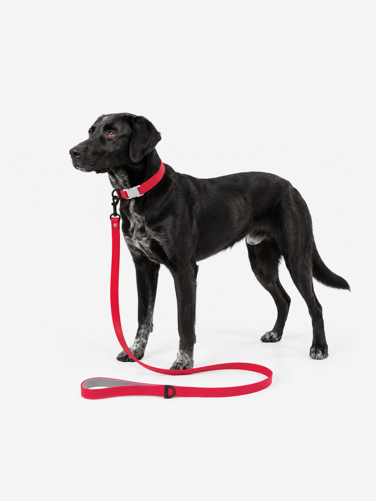 All-Weather Lead