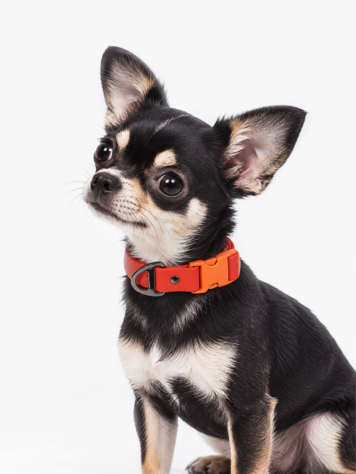All-Weather Collar