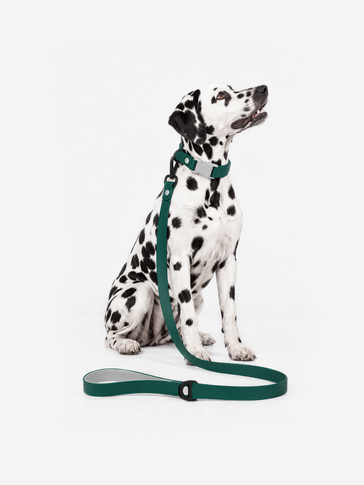 All-Weather Lead