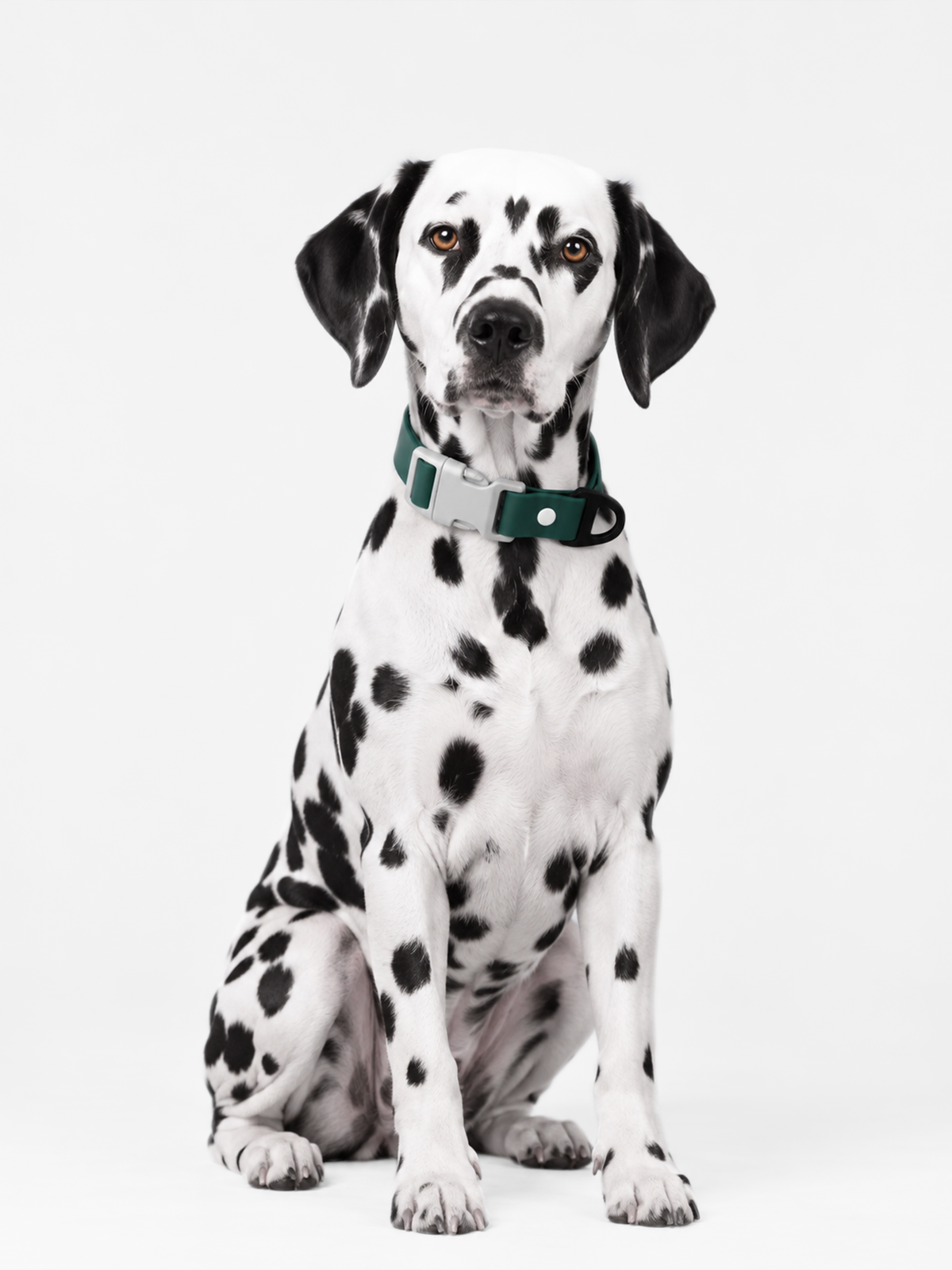 All-Weather Collar