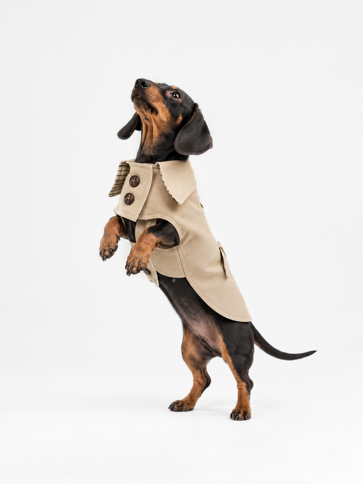 Uptown Trench